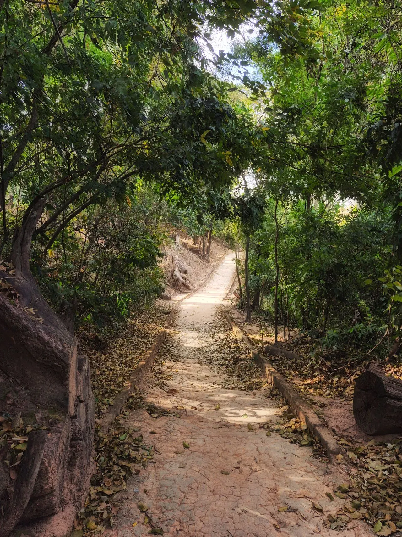 Delhi to Mount Abu Bailey's trail experience Sunset Point